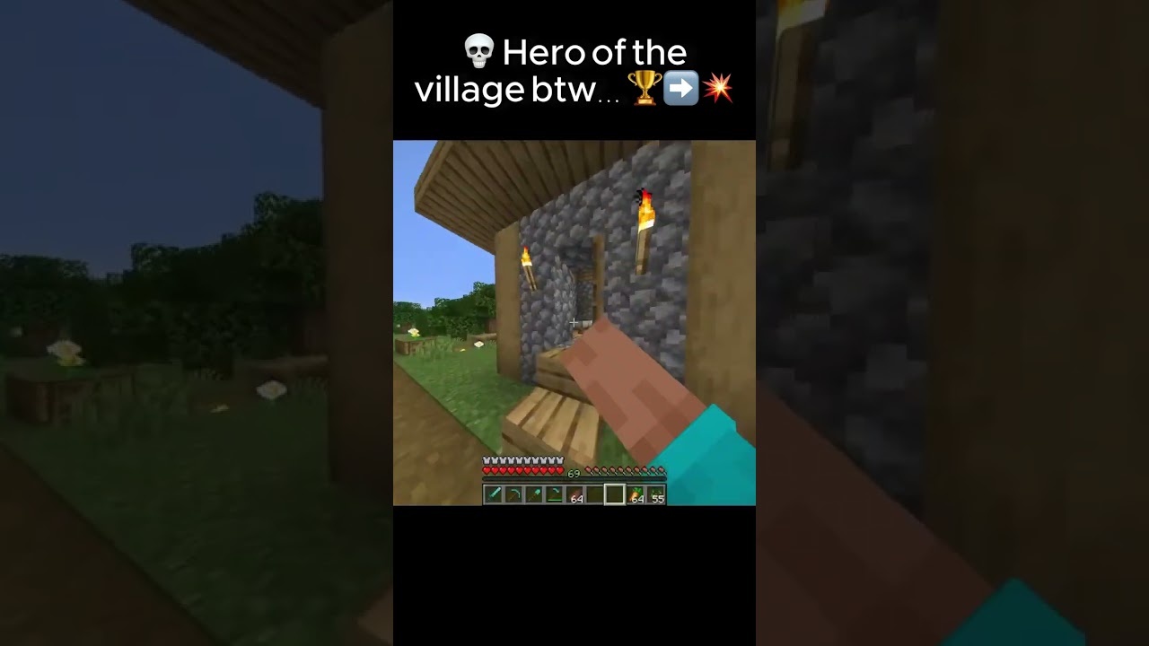 POV: Hero of the Village gone wrong 