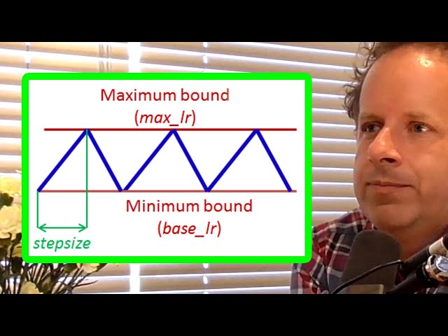Thumbnail for Jeremy Howard: Very Fast Training of Neural Networks | AI Podcast Clips