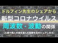 コロナと人類の波動・周波数　ドクタードルフィン松久正先生「バイブレーションだ」という話