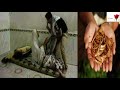 اضرب يا عبود انا جاي اسرق ولا افسر احلام