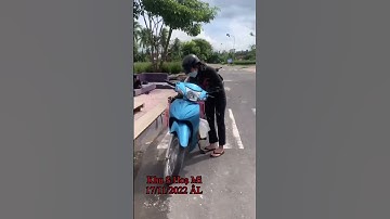 Cung Cấp Hoa Cúc Đại Đoá Tết 2023 Khu S Hoạ Mi 17/11 ÂL D 1M2 1M 85 60 40 CÔNG TY CP SX KD A NHÀN