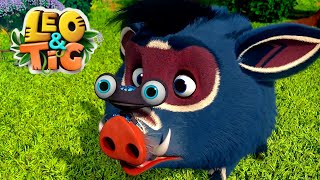 Leo and Tig 🦁 All episodes in row 🐯 Funny Family Good Animated Cartoon for Kids 🔴 LIVE