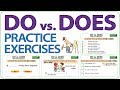 DO vs. DOES - English Practice Exercises