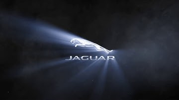 Light Rays Logo Video Intro