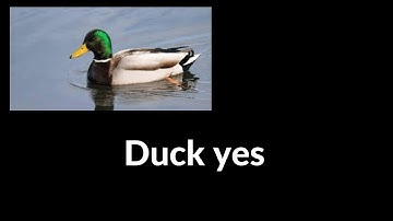 [REUPLOAD] ColdPvP Hacking - Cringe server with Old Verus