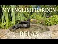 Relax in My English Garden watching the birds taking a bath.
