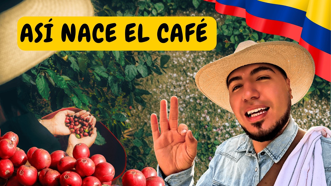 Un viaje a la finca en cada taza ☕ | Así nace el café de especialidad en Colombia
