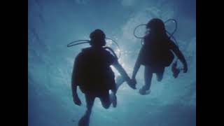 Scuba Diving In Hawaii 1990S