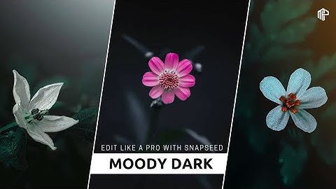 Top Moody Dark Photography Editing | How To Edit Moody Using Snapseed | Malayalam Photography