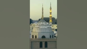 تلاوة هادئة من سورة الرحمن #السعودية #الجزائر #المغرب #احترافيه #استديو #فلسطين  #فلسطين