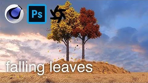 Cinema 4D & Photoshop Tutorial - Falling Leaves With Wind