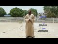 أسيادي الطيبين الدسوقي الشيخ عوض الجيد الخدام أسيادي الطيبين الدسوقي الشيخ عوض الجيد الخدام