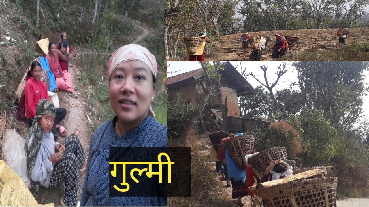 हाम्रो  तिर  आज बाट  सुरु भयो है मल बोक्न कति रमाइलो हुने 🤣😊#sanu #villagelife 