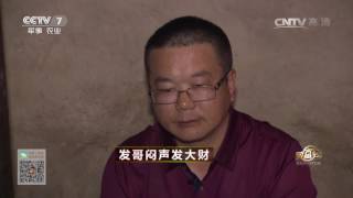20170705 致富经  发哥闷声发大财