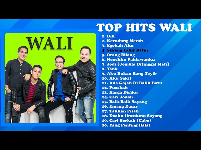 Wali - Top Hits Wali class=
