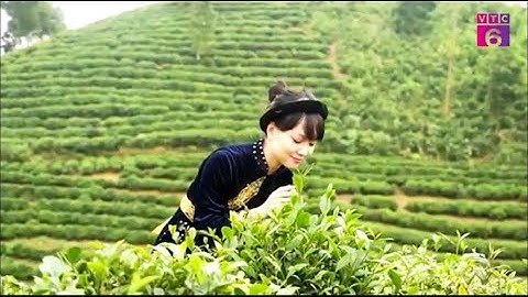 Ứng dụng công nghệ cao và chuyển đổi số trong nông nghiệp tại Thái Nguyên