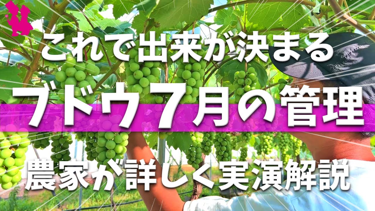 Guaranteed to improve] Demonstration and explanation of the work