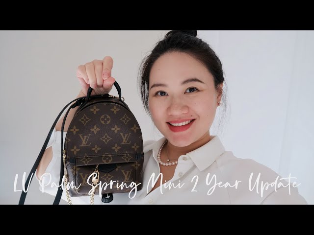 LOUIS VUITTON PALM SPRINGS MINI.. 2 YEAR REVIEW, GLAZING ISSUES, IS IT  OUTDATED ??? 