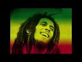 Bob Marley - I Shot The Sheriff (432Hz)