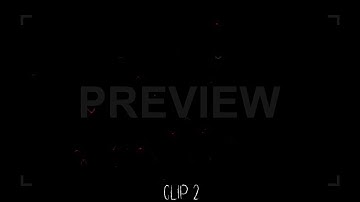 Halloween Bat Attack Pack | Stock Motion Graphics - Motion Array