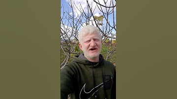 سورة الفاتحة بصوت القارئ عامر جبو