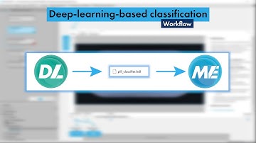 Deep Learning Classification with MVTec MERLIC