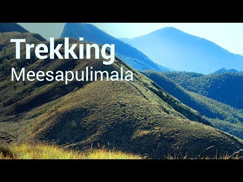 Trek to the second highest peak in Kerala - Meesapulimala