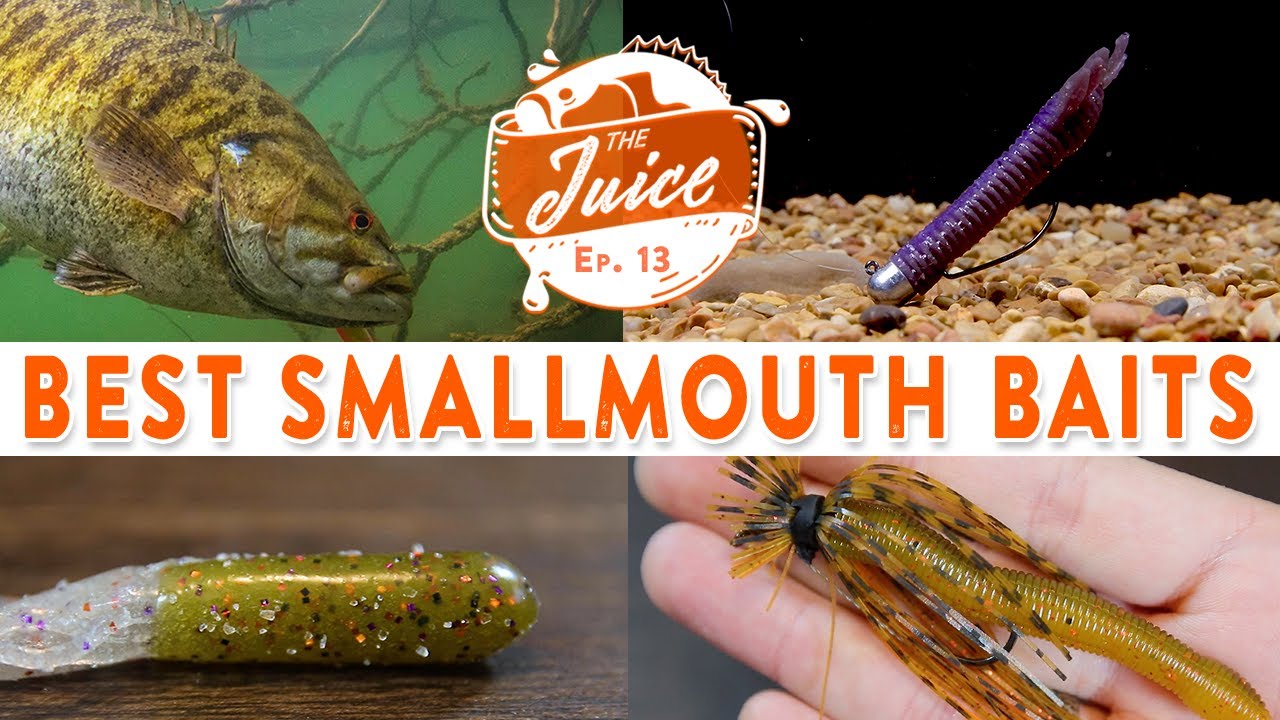 The Ultimate Smallmouth Bass Fishing Bait Guide!