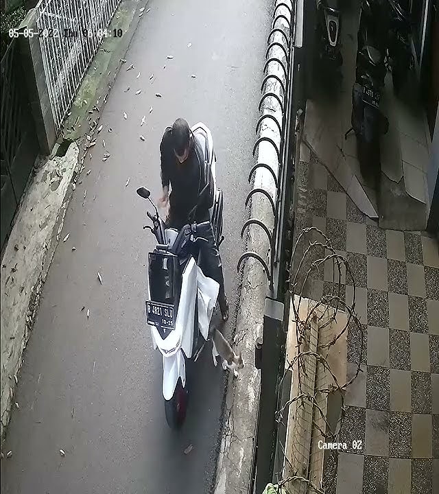 Buang kucing didepan rumah orang tgl 5/5/22 jam 6.04 wib