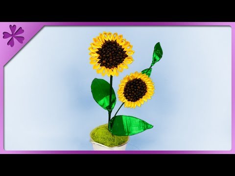 Video: How To Make A Sunflower From Coffee Beans