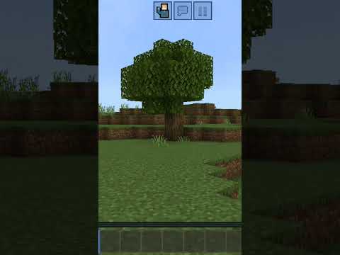 تعال معي نتسابق في حقول نخلوه ترند