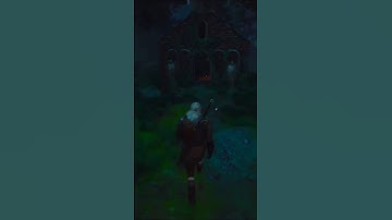 The Witcher 3 Wild Hunt Secrets You Might Not Know #shorts