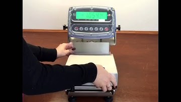 VW8 Portion Control Bench Scale