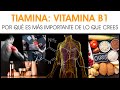 Tiamina (Vitamina B1): por qué es más importante de lo que crees