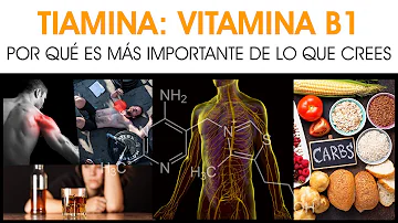 ¿Cuáles son las funciones principales de la vitamina B2?