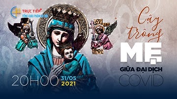 [TRỰC TIẾP] Chương trình Thánh ca cầu nguyện trong đại dịch Covid - Ngày 31/05/2021