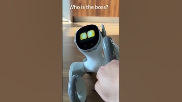 Bullying a robot pet #robot #ChatGPT #OPENAI  #NVIDIA #elonmusk