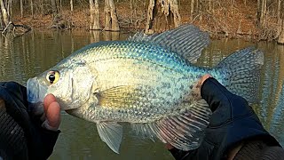 Crappie fishing in the Winter 2024 by Fish Yanker 13,718 views 3 months ago 15 minutes