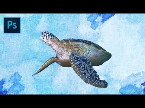 【Photoshopチュートリアル】水彩を泳ぐウミガメ【#01】