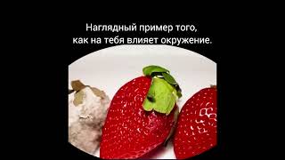 #yourlifestyle #твойстильжизни #исполнениежеланий #школаматериализациижелаемойдействительности