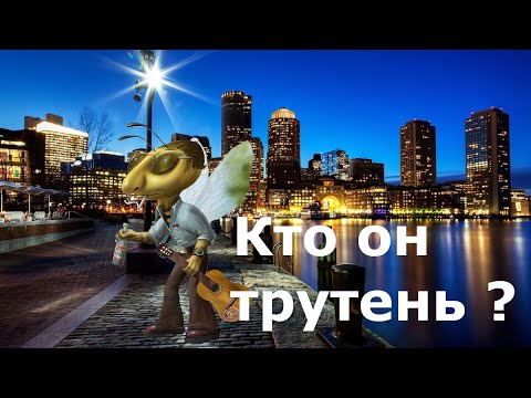 Трутень кто он?