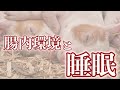 腸内環境と睡眠の関係　【熟睡と食の関係を考える】