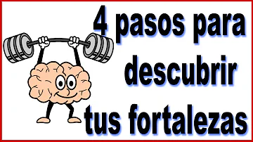 ¿Cuáles son los cuatro pasos seguros?