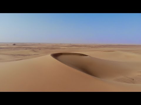 Thousands of Migrants Abandoned in Sahara Desert