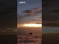 目标信号消失 判定已摧毁 我军战斗机凌晨出击 LIVE NOW Shorts 目标信号消失 判定已摧毁 我军战斗机凌晨出击 LIVE NOW Shorts