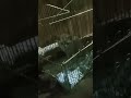 Не спится на новом месте.