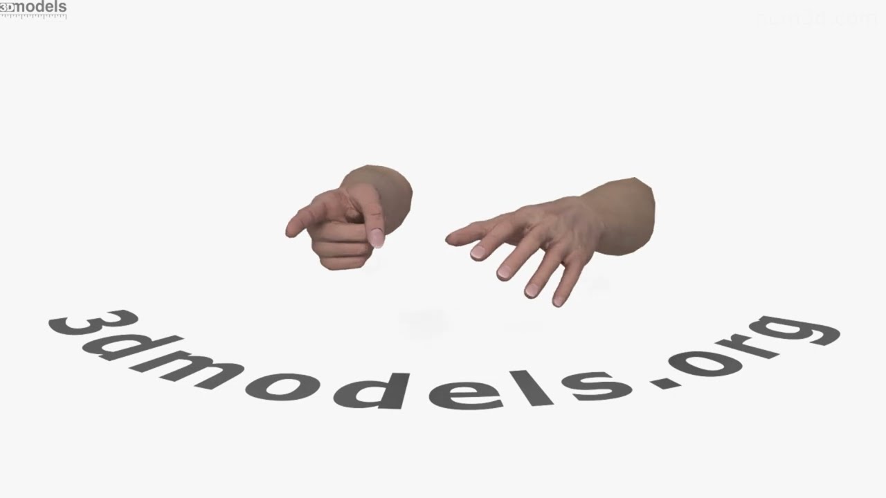 Female Hands Finger Point 3D model by 3DModels.org
