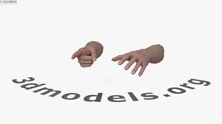Female Hands Finger Point 3D model by 3DModels.org