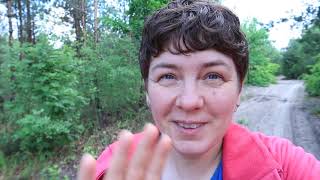 видео: Мучнистый червец на фиалках!!! Как избавиться? ПРОВЕРЕННЫЙ МЕТОД! картинка: Мучнистый червец на фиалках!!! Как избавиться? ПРОВЕРЕННЫЙ МЕТОД!