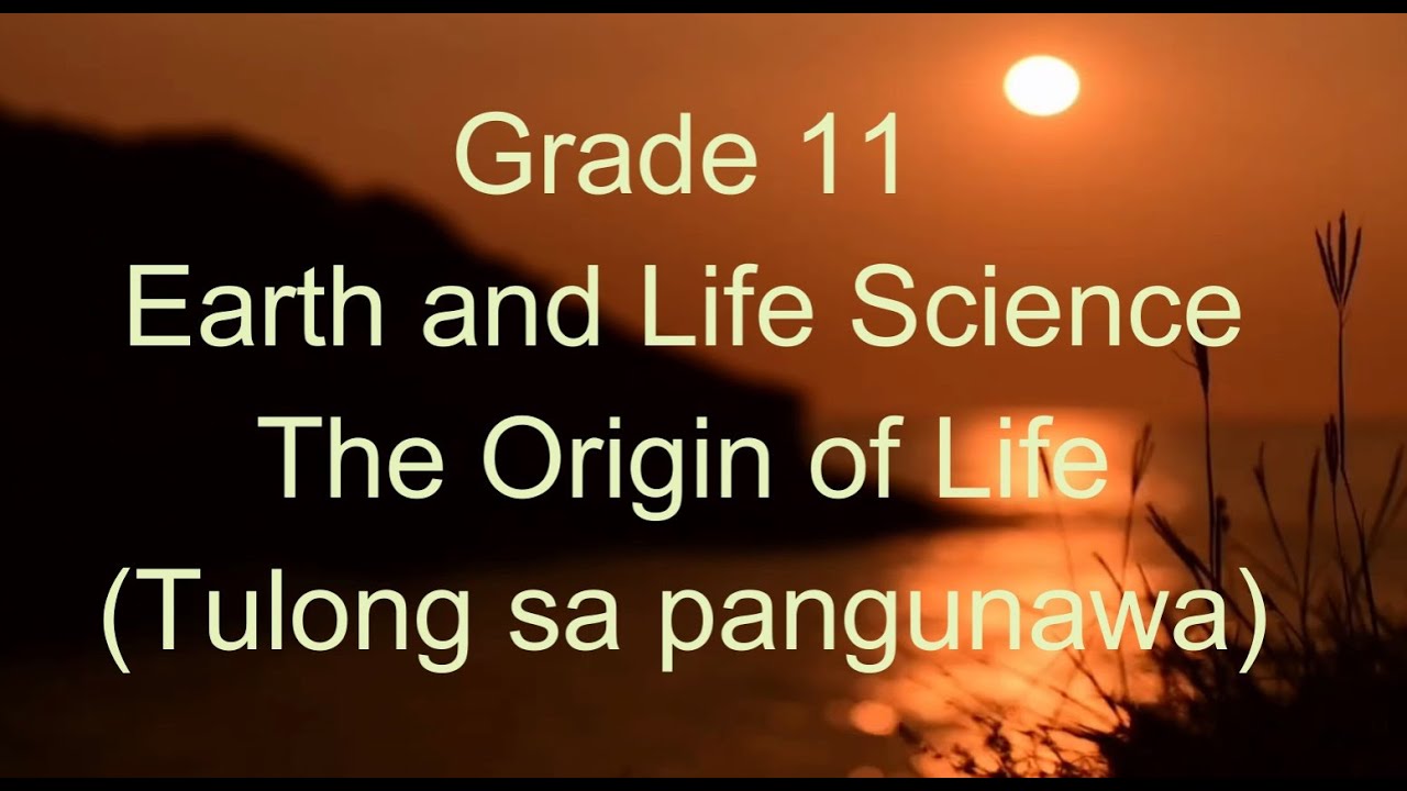 The Origin of Life - YouTube